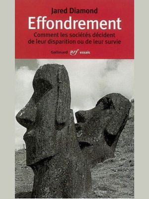 [Civilizations Rise and Fall 02] • Effondrement